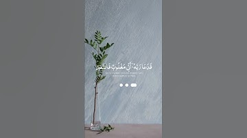 أرح مسمعك 🎧 وقلبك ❤️ القارئ:- #إسلام_صبحي      #روائع_إسلام_صبحي  #قرآني_حياتي_كلها