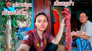 Download Lagu Today there is only good food, food that is born MP3