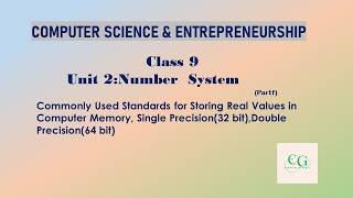 Commonly Used Standards for Storing Real Values in Computer Memory