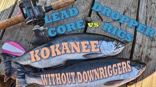 Downrigger & Flatline Kokanee & Trout Rod