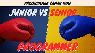 Junior vs Senior Programmer