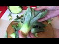 Как укоренить ананас в домашних условиях