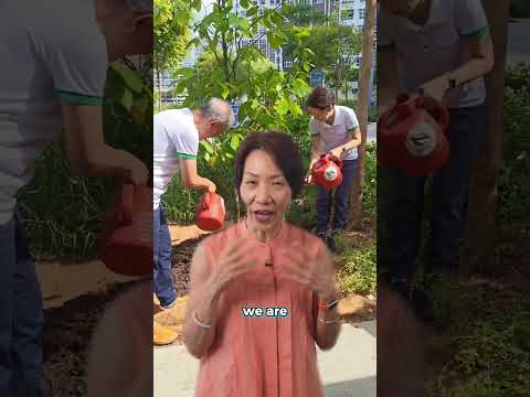 Thumbnail for Minister Grace Fu's explainer video on Year of Climate Adaptation