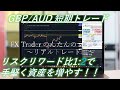 【FX裁量トレーダーへの道】 ～水平線、プライスアクション手法を使ってFX初心者に解りやすく解説【リアルトレード】【スキャルピング】【 デイトレード】