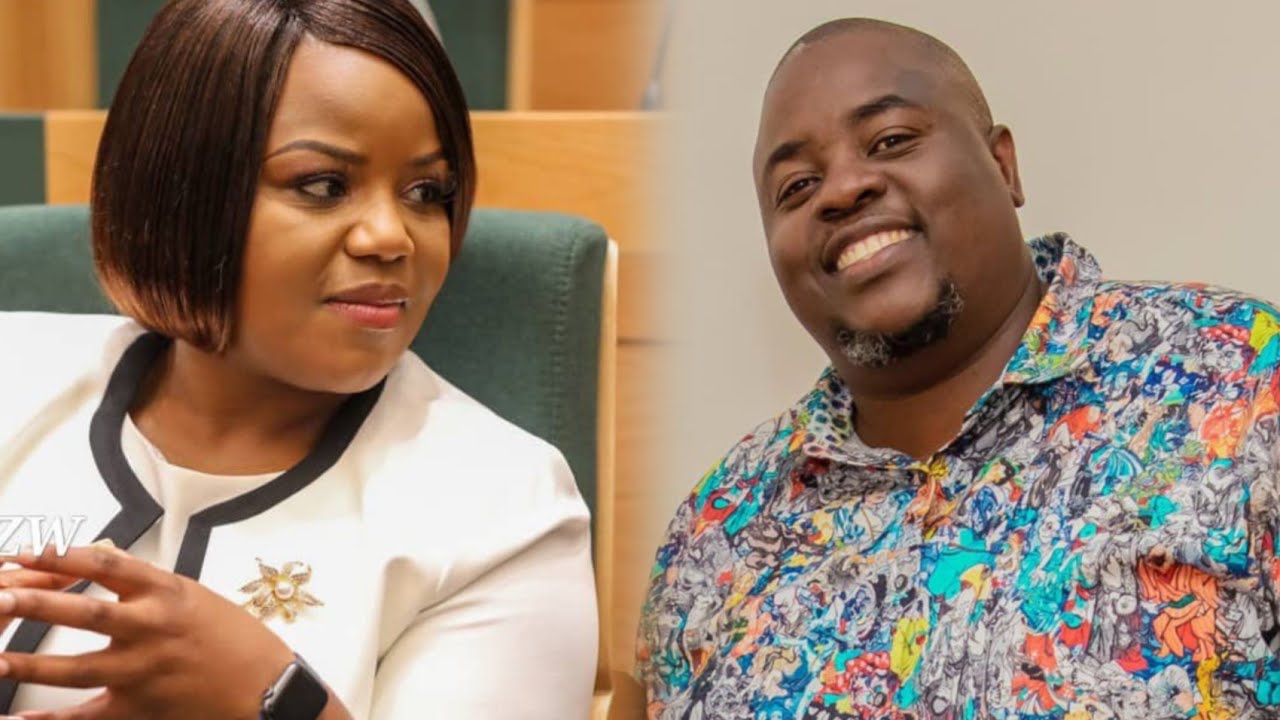 Fadzayi Mahere Slams Wicknell Chivhayo YouTube fadzayi-mahere-slams-wicknell-chivhayo-youtube