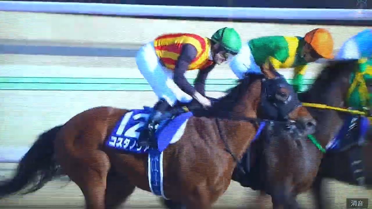 2026 第43回 フェブラリーステークス(G1)【2026G1開幕戦 女王ダブル