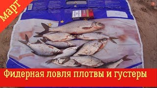 ФИДЕРНАЯ ЛОВЛЯ ПЛОТВЫ И ГУСТЕРЫ ВЕСНОЙ. Открыл сезон 2019