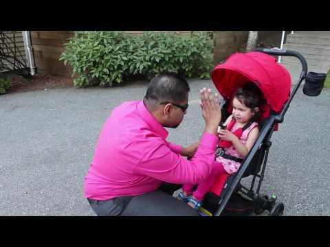 recaro easylife elite stroller