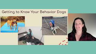 Camp Maddie: Finding Homes for Behavioral Needs Dogs - webcast
