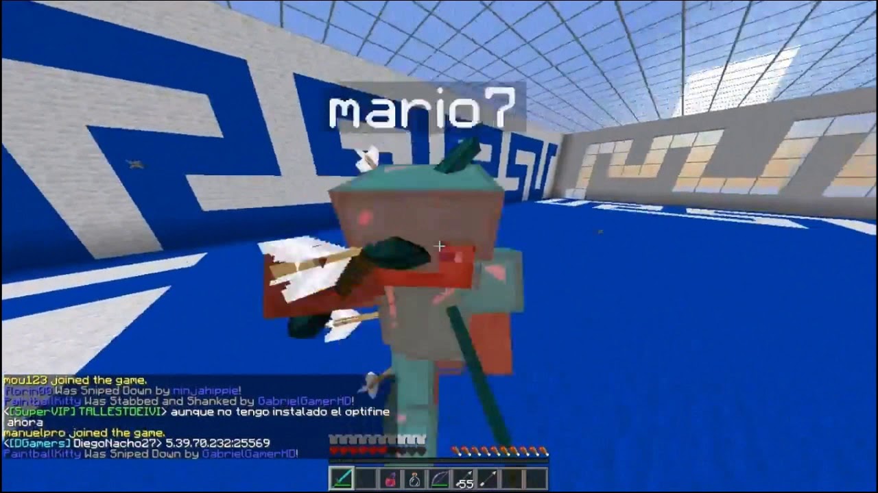 mario7 vs Hiipogamer (2013)