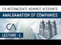 L1 | AMALGAMATION OF COMPANIES | CA INTEREMEDIATE ADVANCE ACCOUNTS | MAY/NOV 23