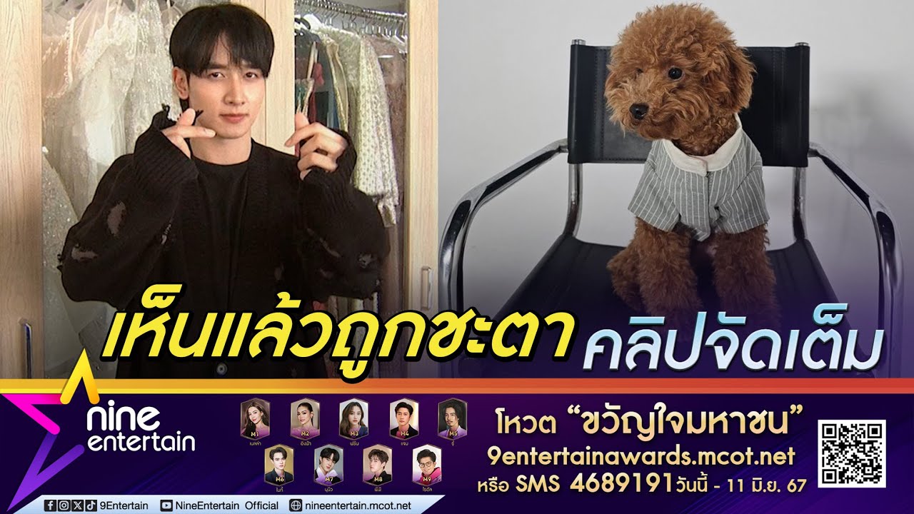 กองทัพ พีค ถูกชะตา น้องคัฟฟี่ คุณพ่อไฟเขียวทั้งที่ไม่ชอบหมา คนในบ้านรุมรักจนน้อยใจ (คลิปจัดเต็ม)