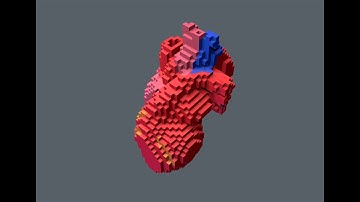 unity 3d Heart Cubes cardiac cycle