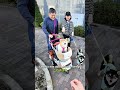 Les japonais sont fous des chien 😅
