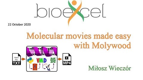 BioExcel Webinar #49: Molecular movies made easy with Molywood