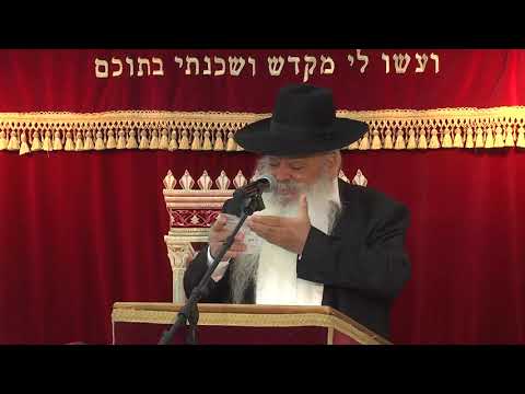 האם החרדים הביאו את הקורונה לארץ | קצרים | הרב דניאל זר