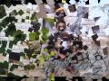 فيلم الاصدقاء الثلاثة