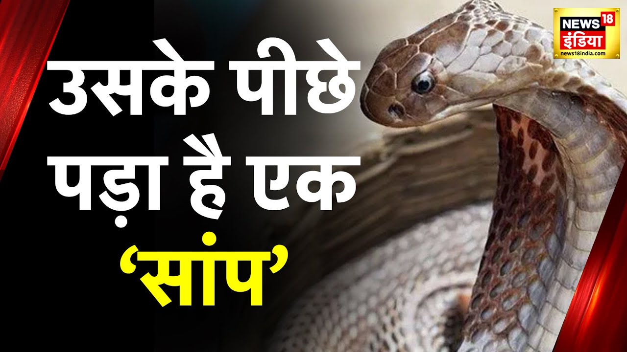 Aadhi Haqeeqat Aadha Fasana : नाग बना जानी दुश्मन, '25 से ज्यादा बार डसा गया'