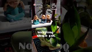 #Shorts. 6 shape Ceramic pot collection.