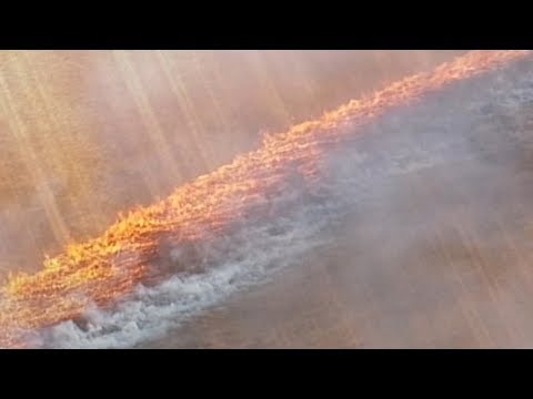 ‘Sea of fire’ races across field in Australia