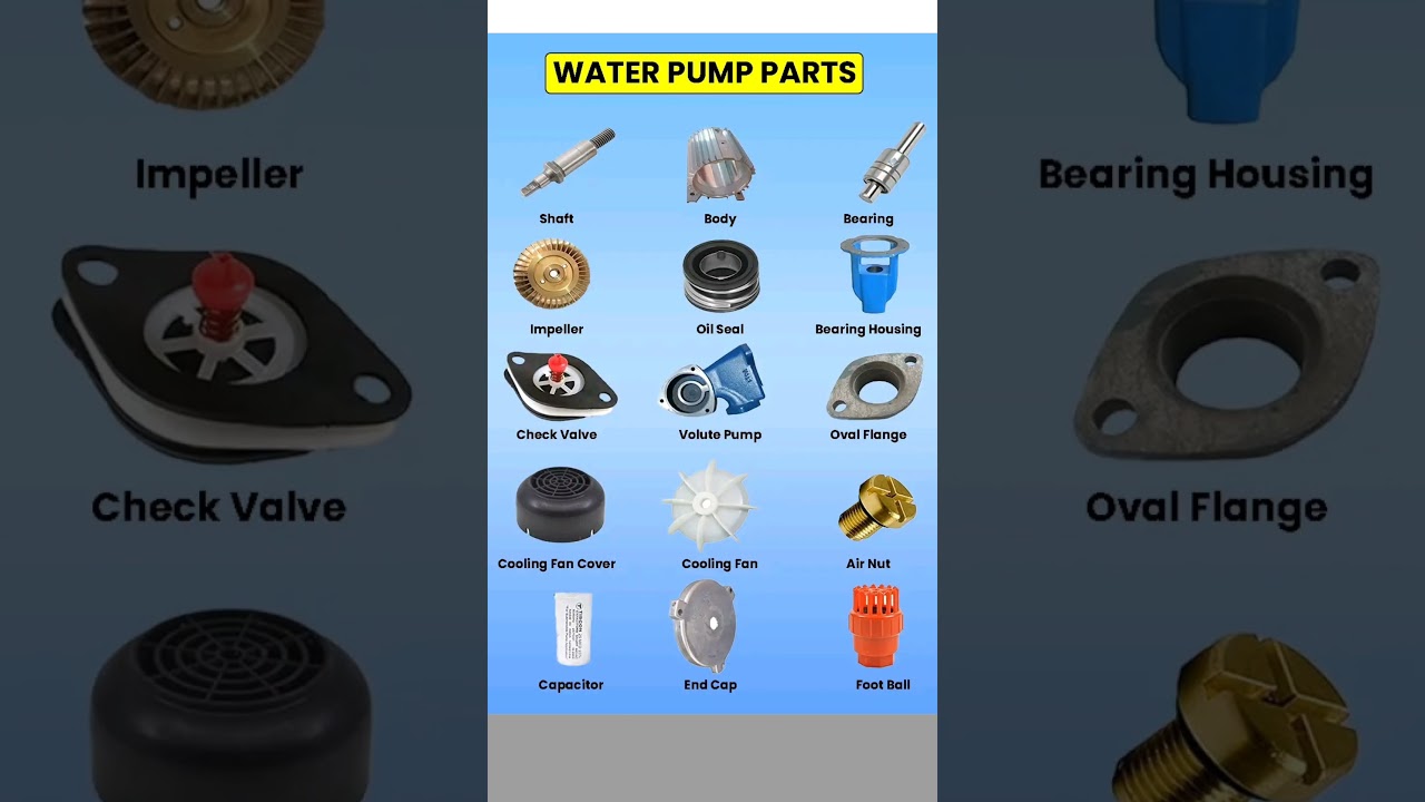 Complete Breakdown of Water Pump Components ⚙️💧"