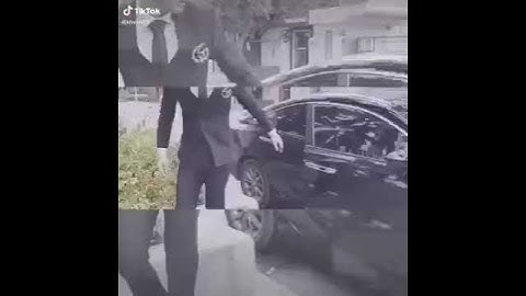 Nụ cười tỏa nắng của "Meo"🌞🐝🌻