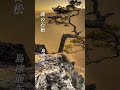【森の石松】  島津亜矢  #shorts  #森の石松  #セリフ入り  #島津亜矢  #股旅演歌