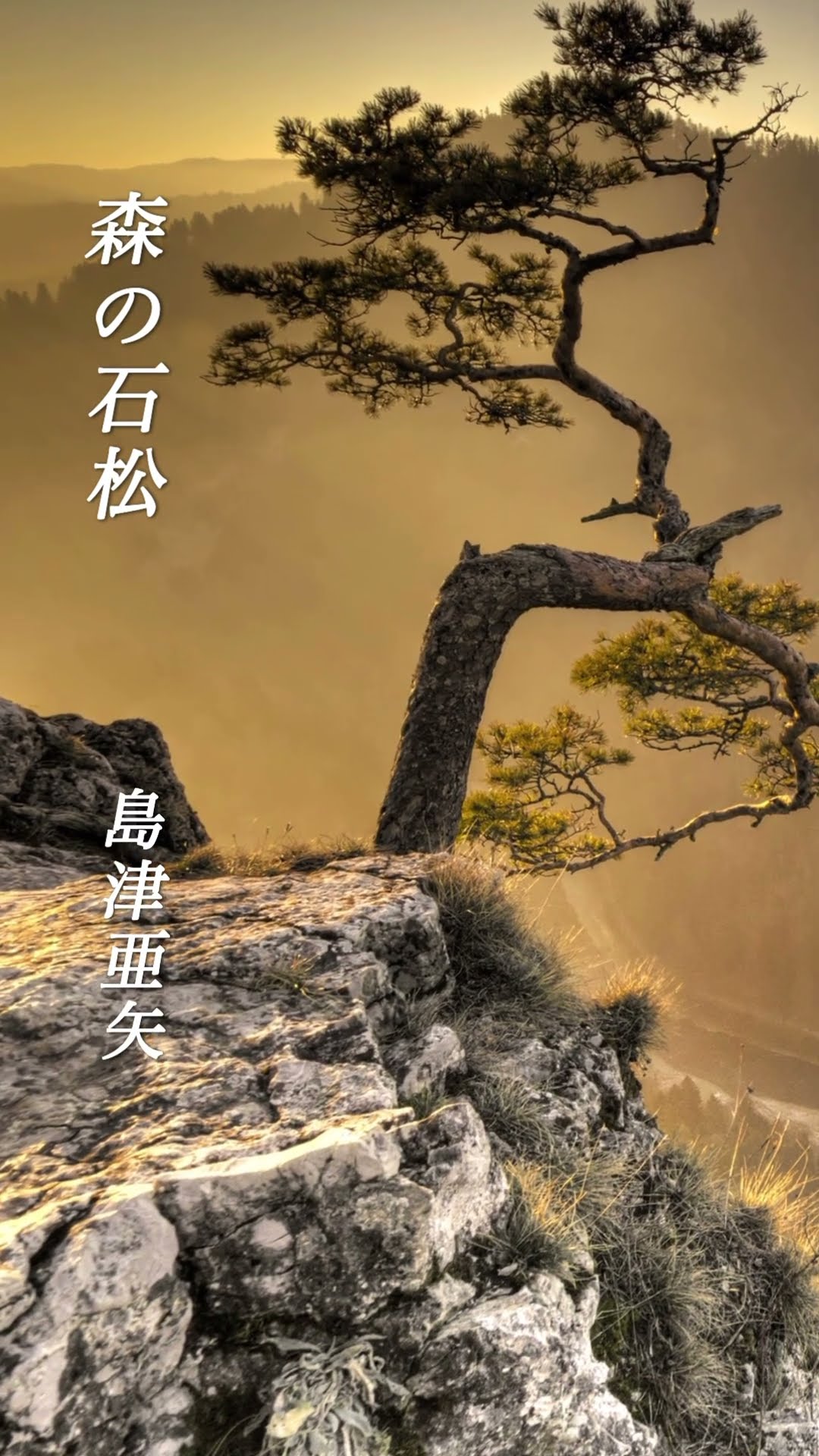 森の石松】 島津亜矢 #shorts #森の石松 #セリフ入り #島津亜矢 #股旅