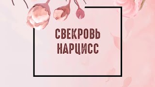 видео: Пусть говорят. Свекровь нарцисс ||обзор телепередачи|| картинка: Пусть говорят. Свекровь нарцисс ||обзор телепередачи||