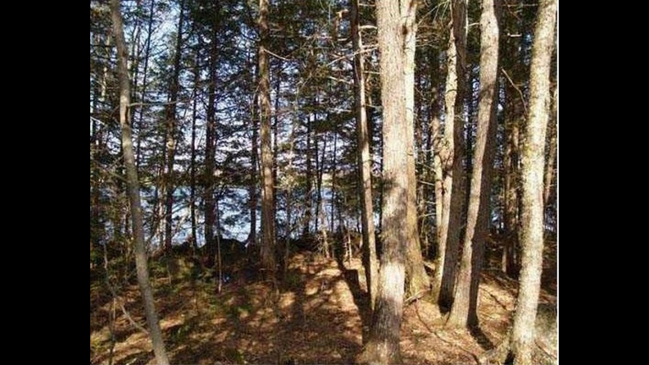 Residential for sale Lot 9 Little Rive Cove Road, Weston, ME 04494