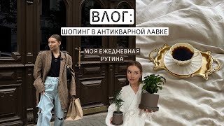 ВЛОГ: шопинг | антикварная лавка | покупки недели | как я провожу свои будни? 🪴🤍