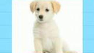 Ultra Kawaii - Cute Groups