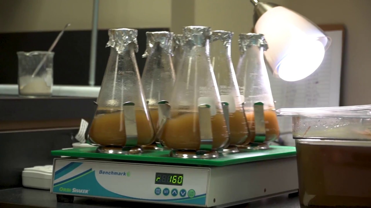 Biological Lagoon Additives: How Aquafix Helps Lagoons Do It Better