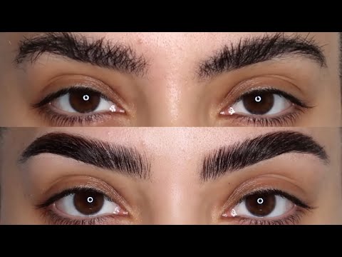 how I catfish my brows (full brow routine)