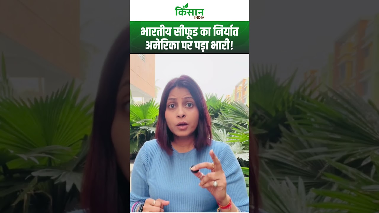 America Tariff के खेल में फंसा, भारतीय सीफूड के निर्यात में उछाल। PM Modi। Donald Trump। 