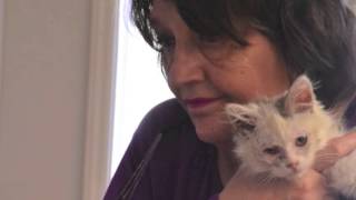 Anderson County Humane Society