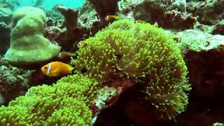 20170910 maldives