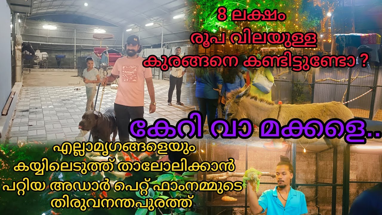 നമ്മുടെ തിരുവനന്തപുരത്ത് അടിപൊളി ഒരു പെറ്റ് ഫാം തുടങ്ങിയിട്ടുണ്ട് | Popular Farm House Pallichal |