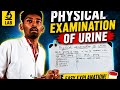 Physical Examination of Urine Explained Clearly | MLT Full Class.with appropriate image.