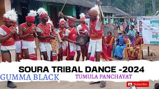 SOURA TRIBAL DANCE-2024// TUMCHAR VILLAGE// TUMULA PANCHAYAT , GAJAPATI ODISHA.