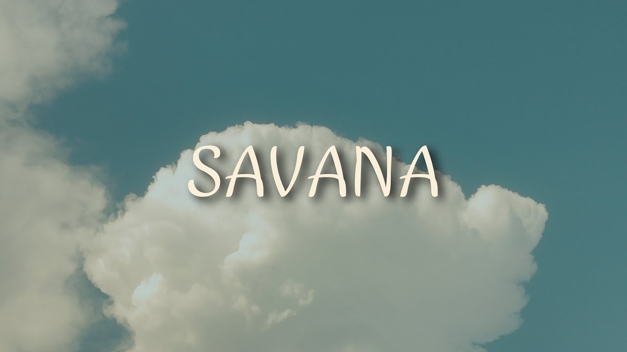 شنو طلبت من سافانا وشنو وصلني / سافانا.