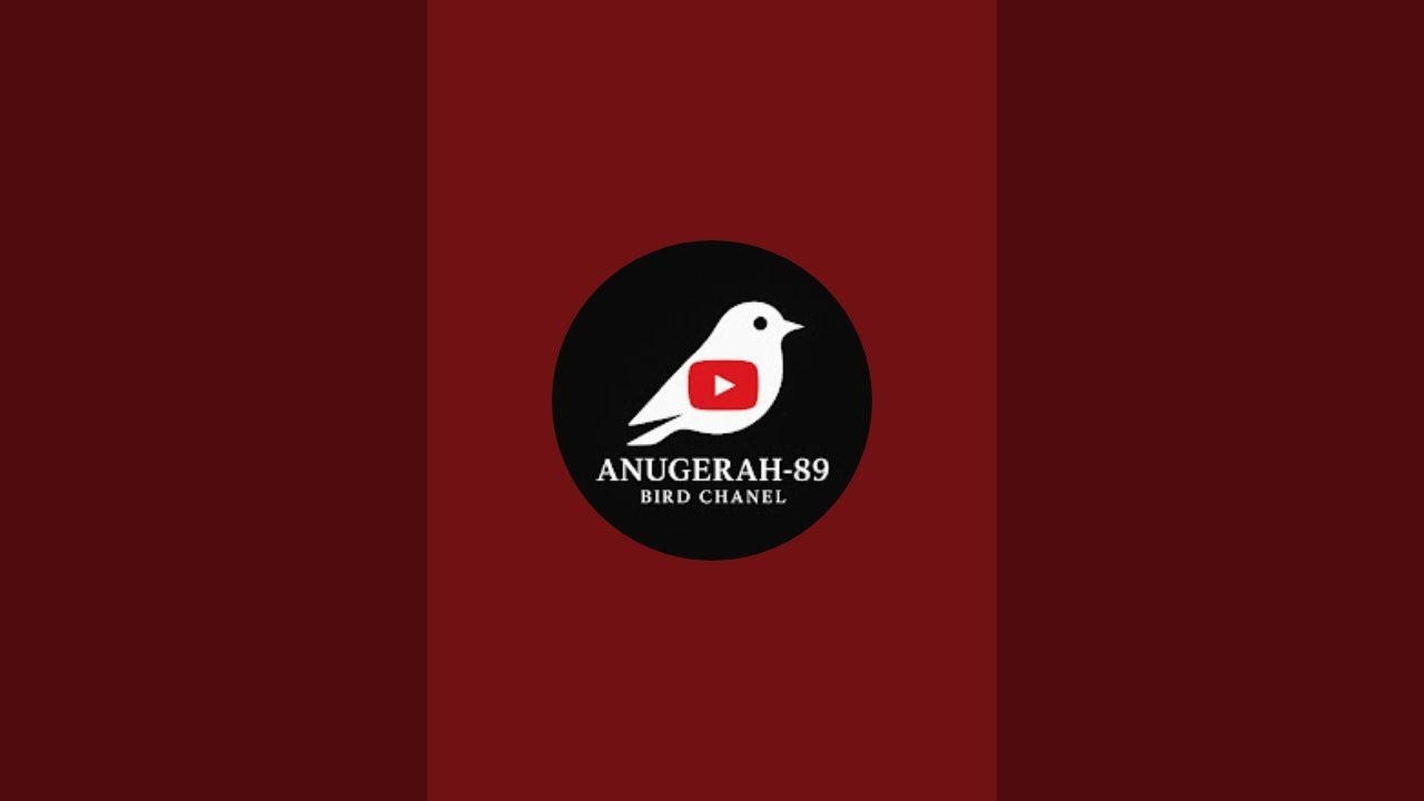 Anugerah-89 bird sedang live sekarang!