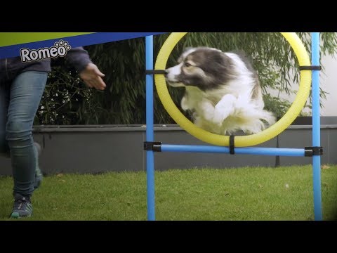 Anwendungsfilm Produkt