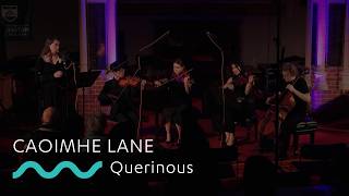 CAOIMHE LANE: Querinous