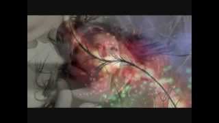 Chris Norman - Got me in the palm of your hand