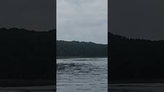 Famous Kayaking on the Rum River in Minnesota Net Worth