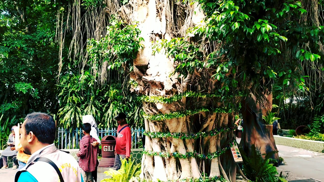 Liburan ke Gembira Loka Zoo - Jogja - YouTube