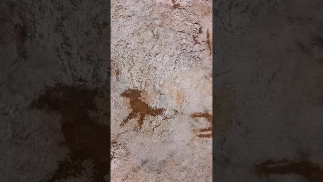 New discovery! 67,800-year-old rock art in Sulawesi, Indonesia