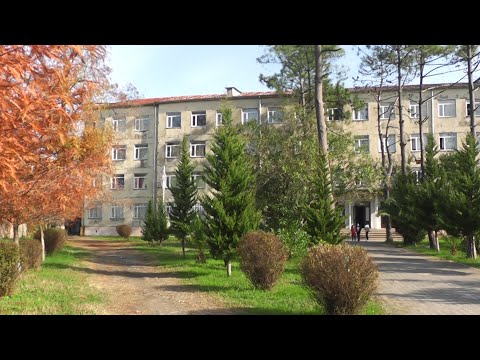 უსტატუსო პედაგოგები იანვრიდან სკოლებს დატოვებენ 08 12 21