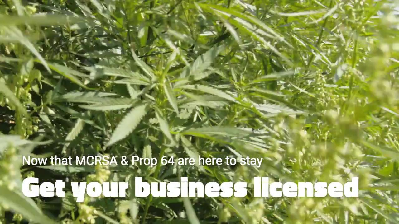 CA Cannabis Licensing - Is your business prepared? - Attorney Advertising
